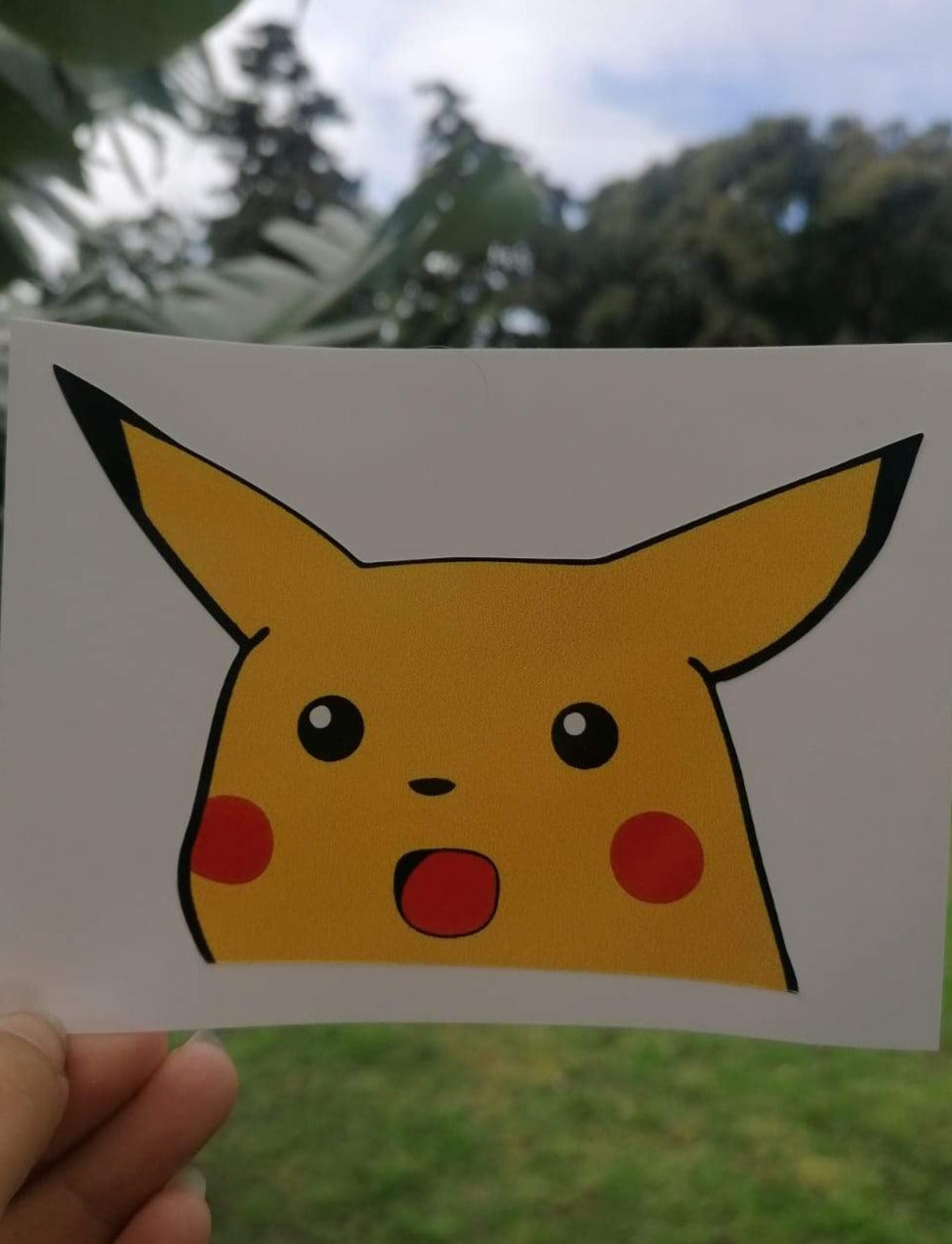 Squished Pikachu Sticker Decal - Peeker Peeper Meme Cute Funny JDM Slap Car  4x4