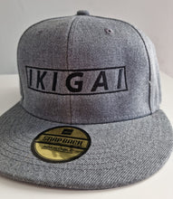 Load image into Gallery viewer, Embroidered Snapback
